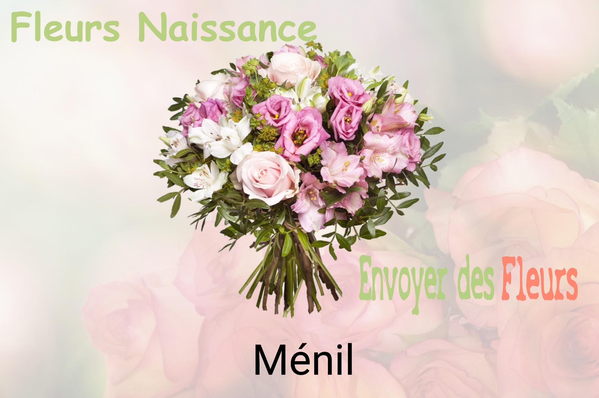 Bouquet de fleurs de naissance livré à Ménil